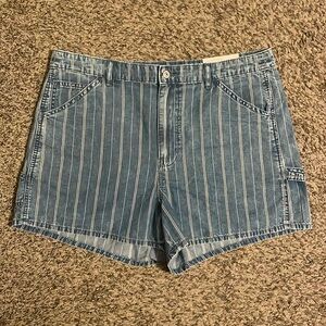 American Eagle highest rise 90s boyfriend Jean shorts - size 16 NWT